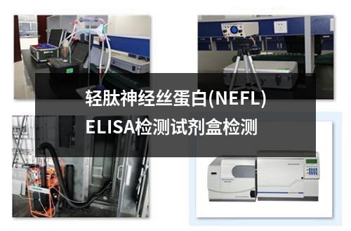 轻肽神经丝蛋白(NEFL)ELISA检测试剂盒检测