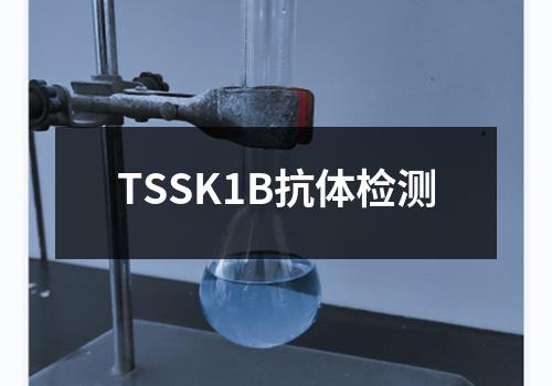 TSSK1B抗体检测