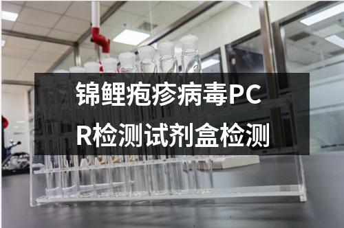 锦鲤疱疹病毒PCR检测试剂盒检测