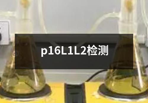 p16L1L2检测