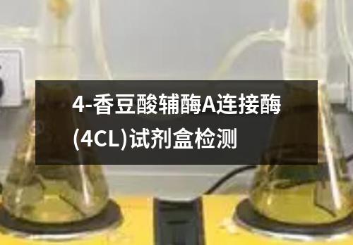 4-香豆酸辅酶A连接酶(4CL)试剂盒检测