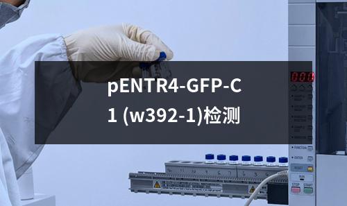 pENTR4-GFP-C1 (w392-1)检测