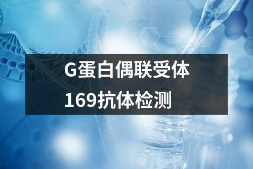 G蛋白偶联受体169抗体检测