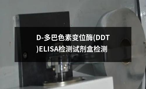 D-多巴色素变位酶(DDT)ELISA检测试剂盒检测