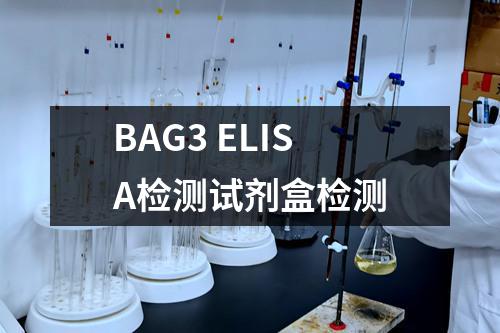 BAG3 ELISA检测试剂盒检测