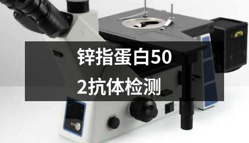 锌指蛋白502抗体检测