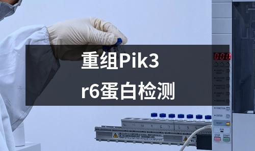 重组Pik3r6蛋白检测