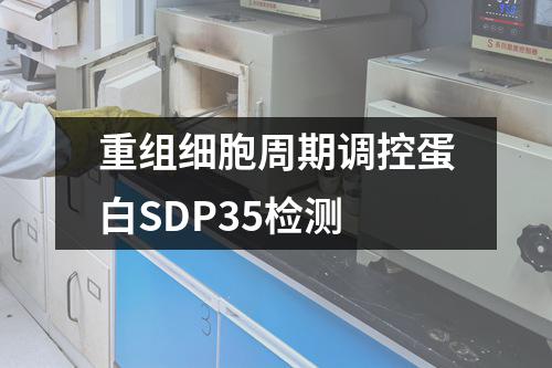 重组细胞周期调控蛋白SDP35检测