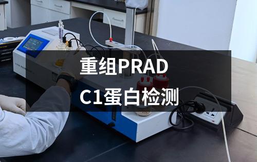 重组PRADC1蛋白检测