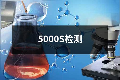 5000S检测