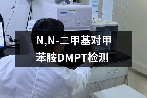 N,N-二甲基对甲苯胺DMPT检测