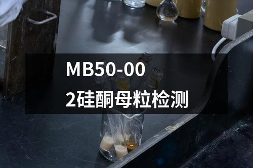 MB50-002硅酮母粒检测