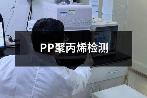 PP聚丙烯检测