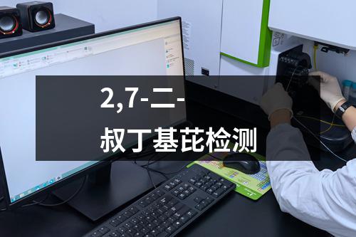 2,7-二-叔丁基芘检测