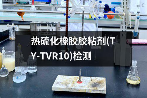 热硫化橡胶胶粘剂(TY-TVR10)检测