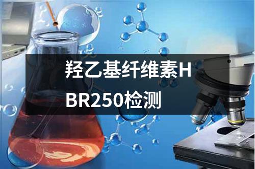 羟乙基纤维素HBR250检测