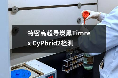 特密高超导炭黑Timrex CyPbrid2检测