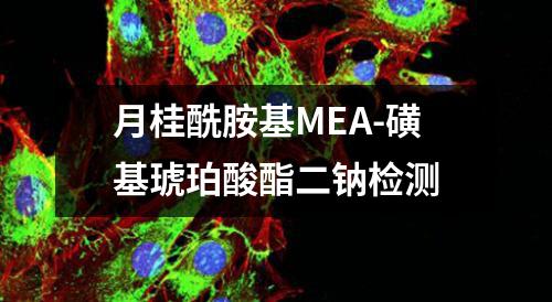 月桂酰胺基MEA-磺基琥珀酸酯二钠检测