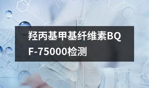 羟丙基甲基纤维素BQF-75000检测