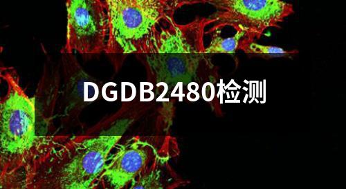 DGDB2480检测