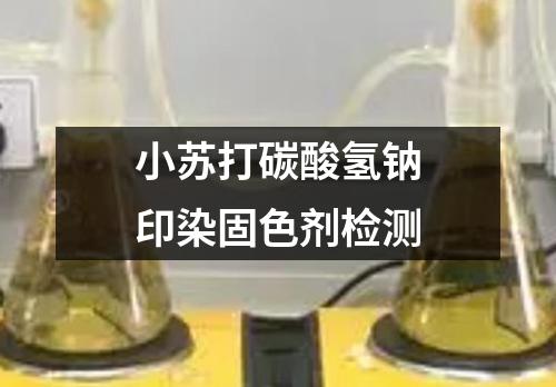 小苏打碳酸氢钠印染固色剂检测