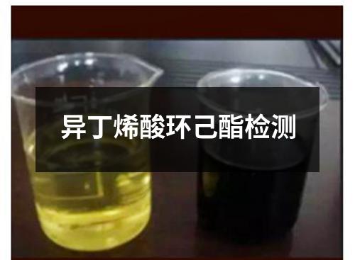 异丁烯酸环己酯检测