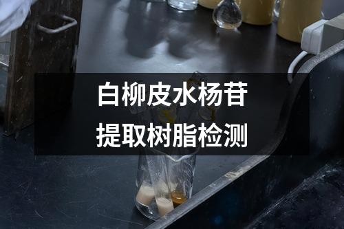 白柳皮水杨苷提取树脂检测