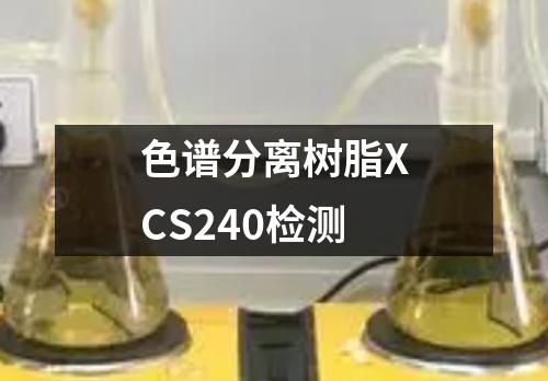 色谱分离树脂XCS240检测