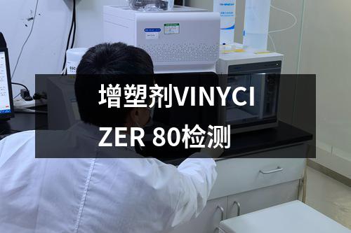 增塑剂VINYCIZER 80检测