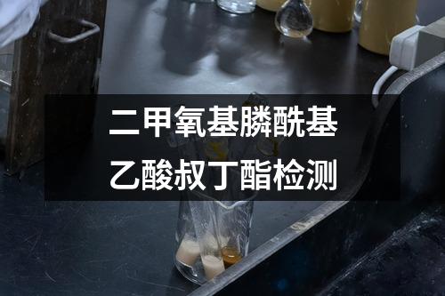 二甲氧基膦酰基乙酸叔丁酯检测