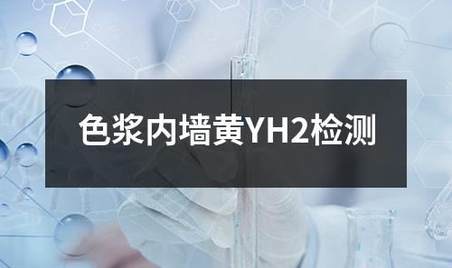 色浆内墙黄YH2检测