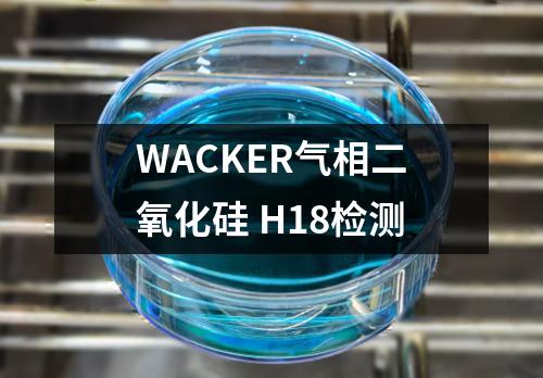 WACKER气相二氧化硅 H18检测