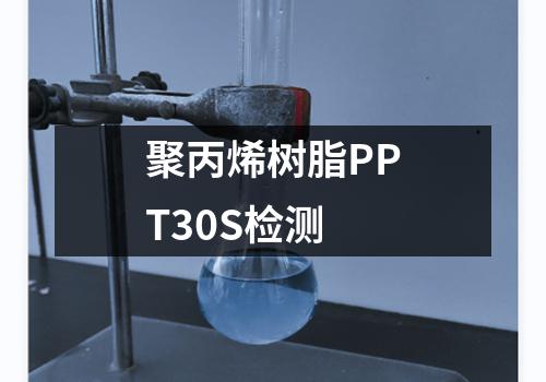 聚丙烯树脂PPT30S检测