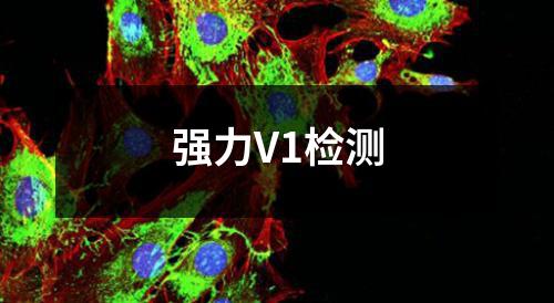 强力V1检测