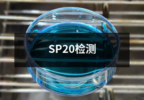 SP20检测