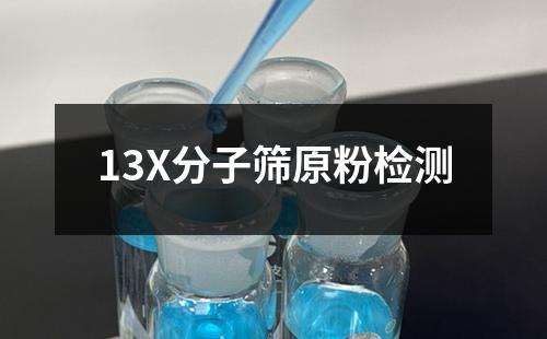 13X分子筛原粉检测