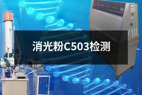 消光粉C503检测