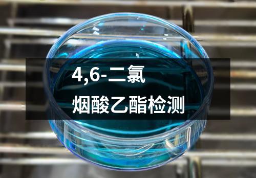 4,6-二氯烟酸乙酯检测