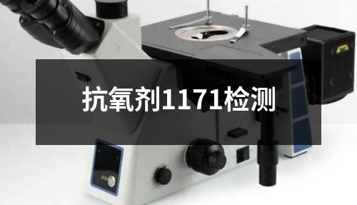 抗氧剂1171检测