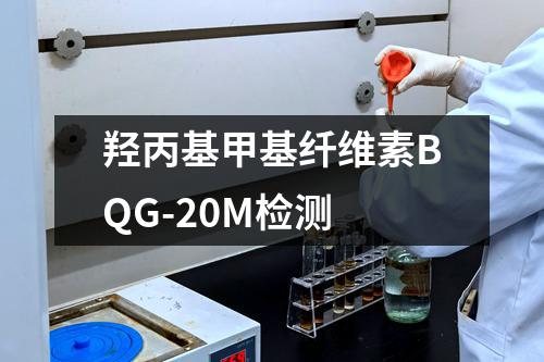 羟丙基甲基纤维素BQG-20M检测