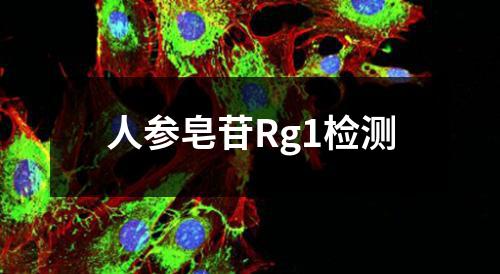 人参皂苷Rg1检测