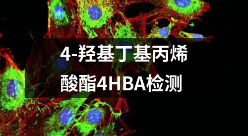 4-羟基丁基丙烯酸酯4HBA检测