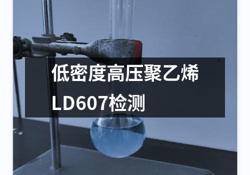 低密度高压聚乙烯LD607检测