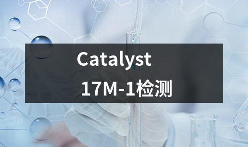 Catalyst 17M-1检测