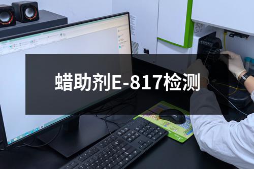 蜡助剂E-817检测