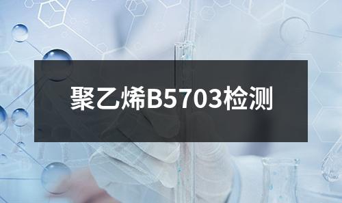 聚乙烯B5703检测