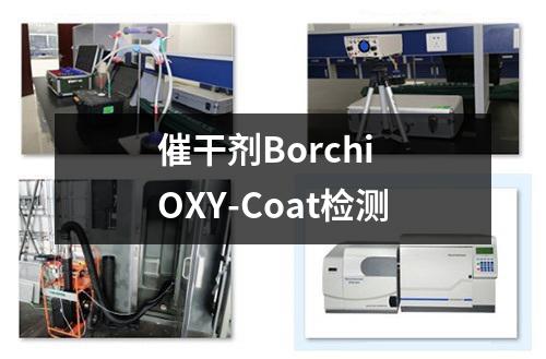 催干剂Borchi OXY-Coat检测