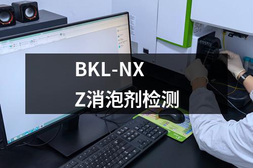 BKL-NXZ消泡剂检测