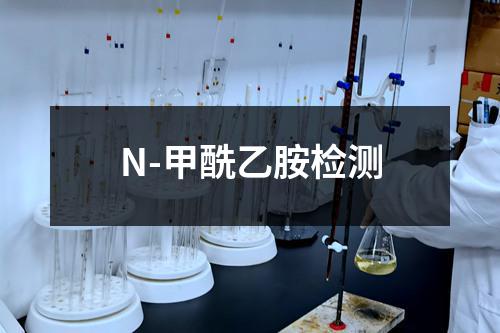 N-甲酰乙胺检测