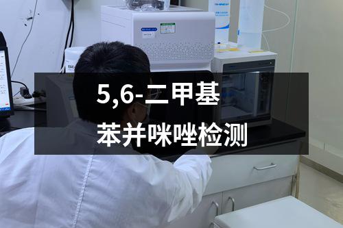 5,6-二甲基苯并咪唑检测